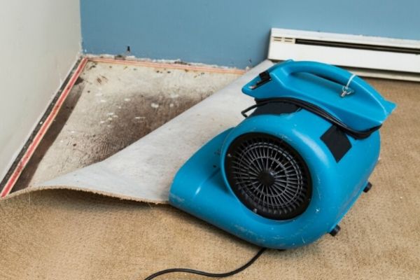 Water-Damage-Cleanup