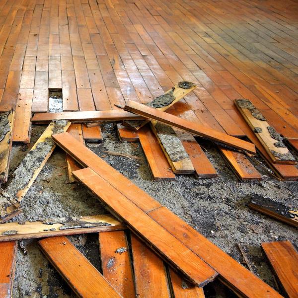 Flood Cleanup