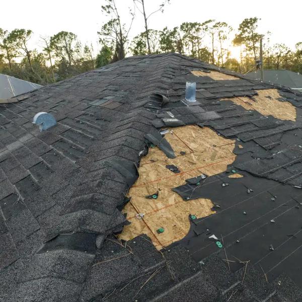 storm damage cleaning